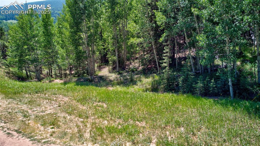 Image 12 of 24: Other