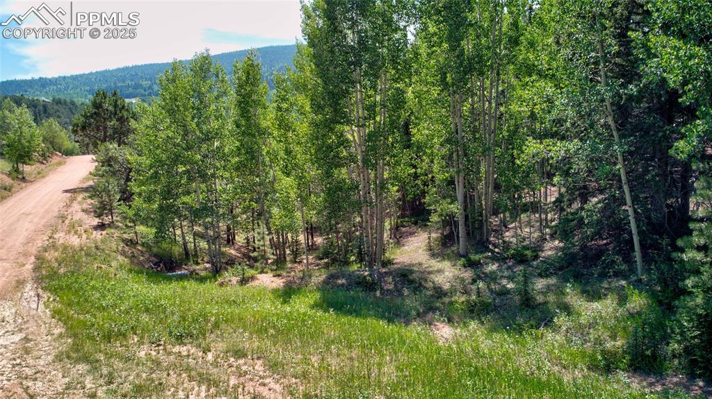 Image 13 of 24: Other