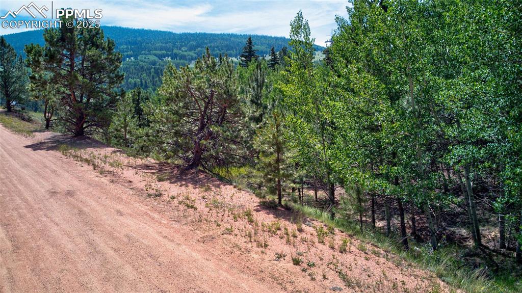 Image 15 of 24: View