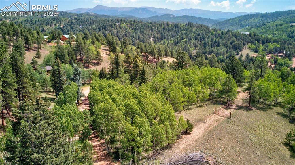 Image 7 of 24: Aerial View