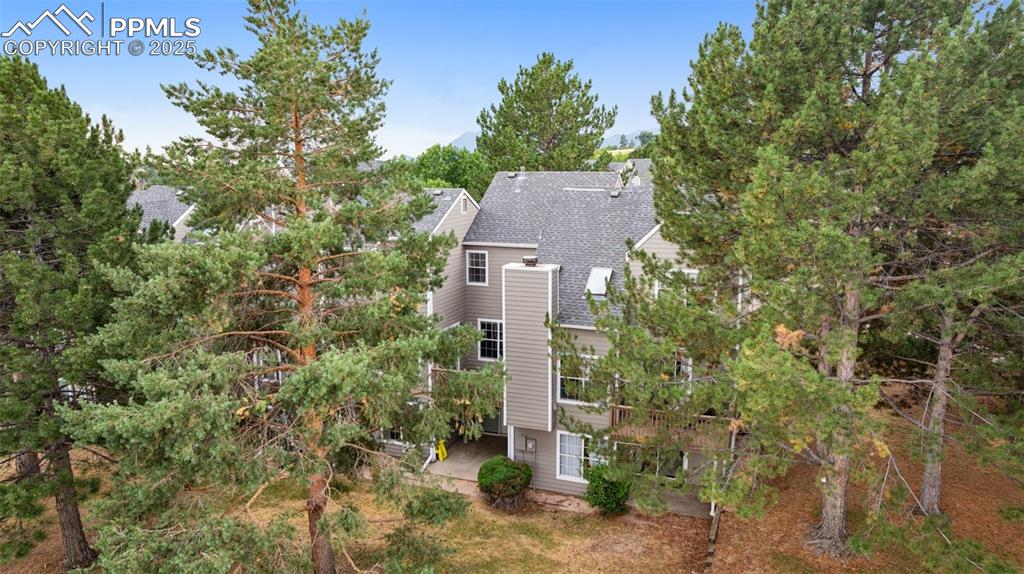 Image 47 of 48: Rear view of house featuring a shingled roof, a patio area, and view of woo