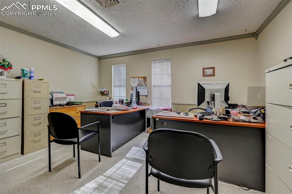 Image 22 of 45: Office with crown molding, light colored carpet, and a textured ceiling