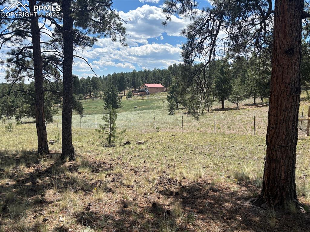Image 24 of 25: View of local wilderness with rural landscape