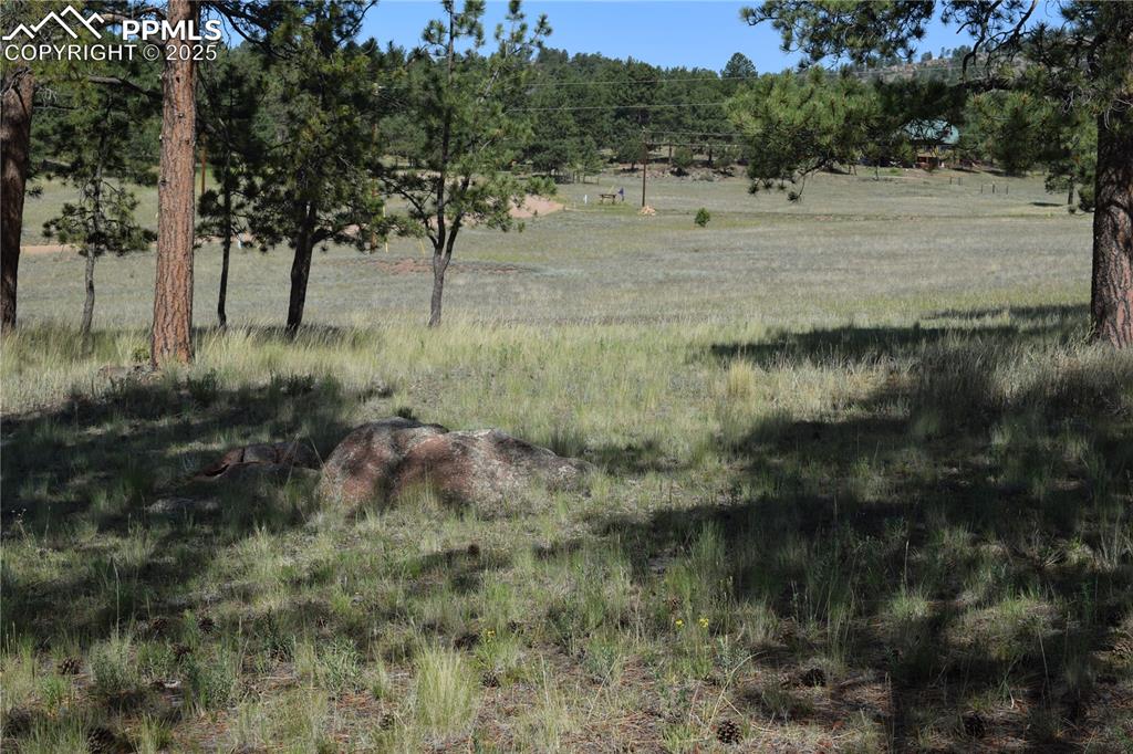 Image 10 of 44: View of local wilderness featuring rural landscape