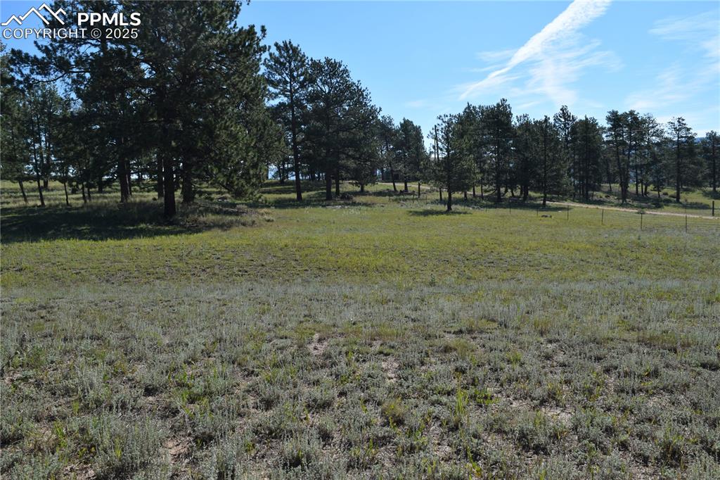 Image 28 of 44: View of local wilderness with rural landscape