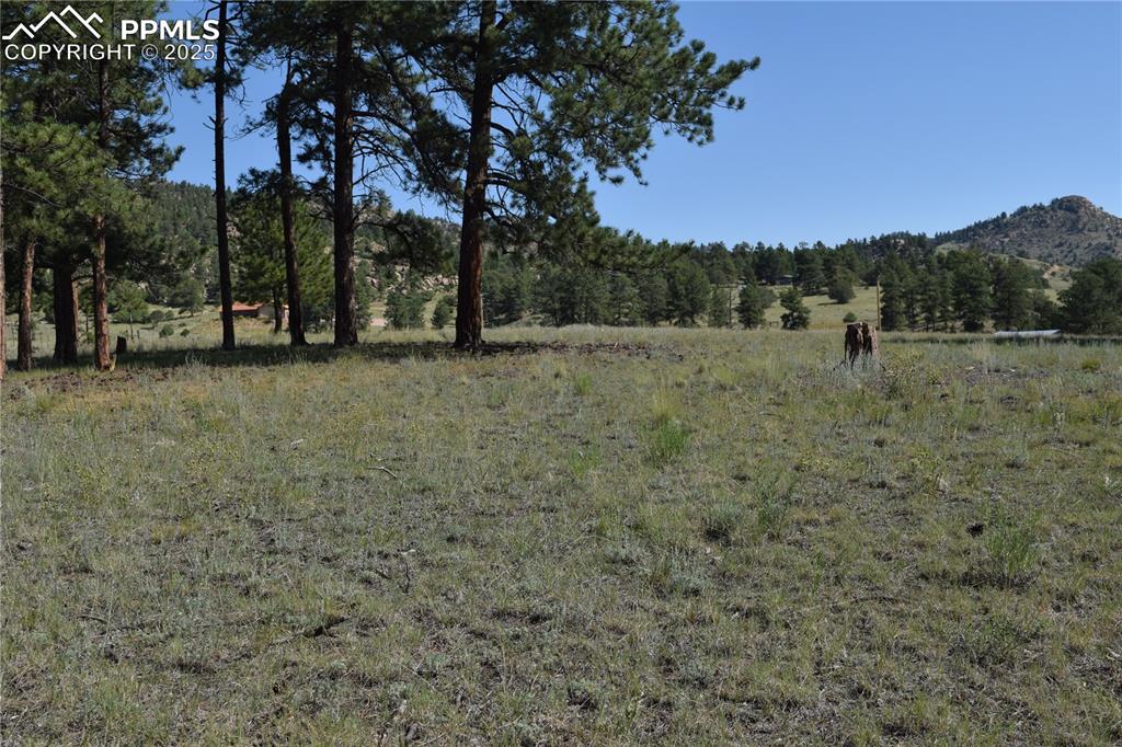 Image 38 of 44: View of nature with rural landscape