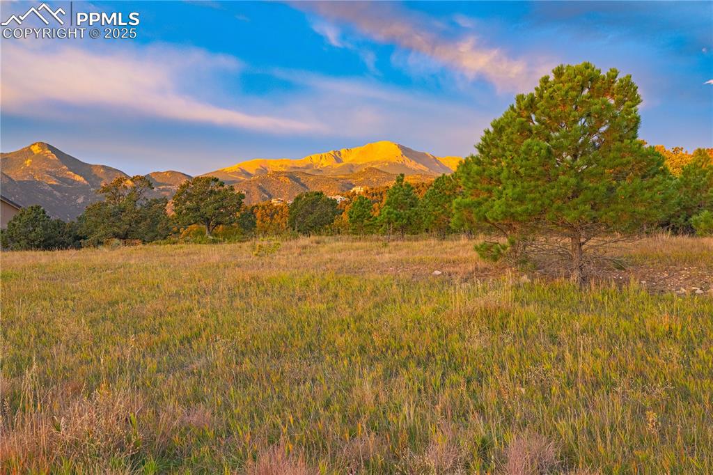 Image 7 of 19: Direct view of Pikes Peak