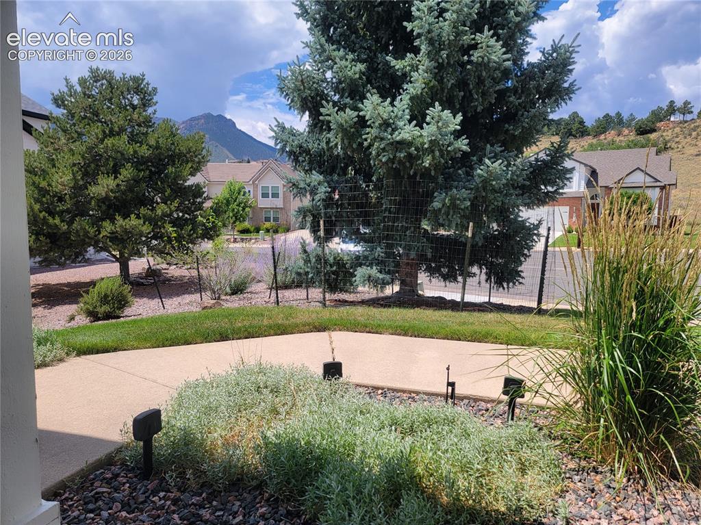 Image 2 of 50: Fully landscaped