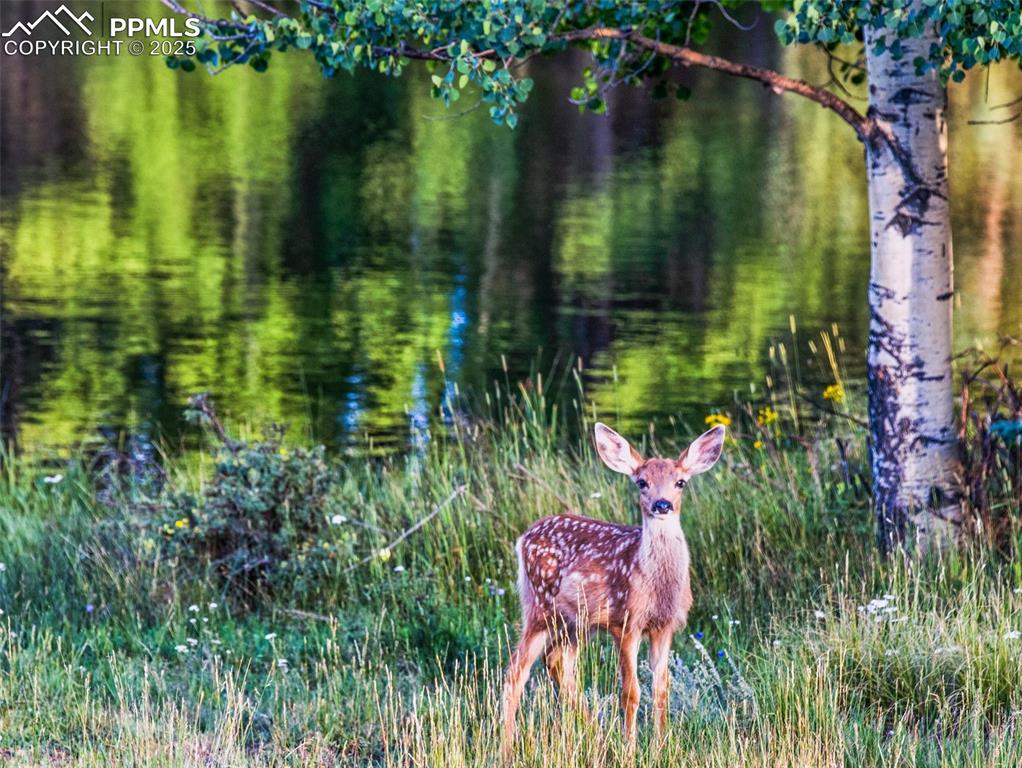 Image 22 of 26: Other