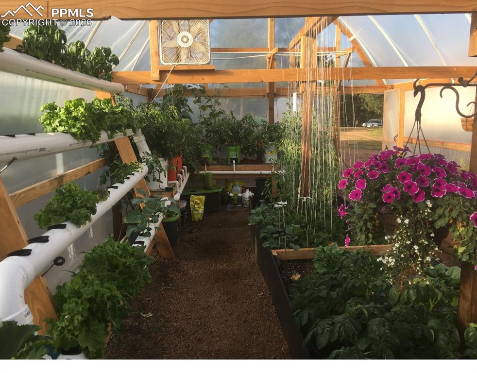 Image 41 of 41: Sun Room