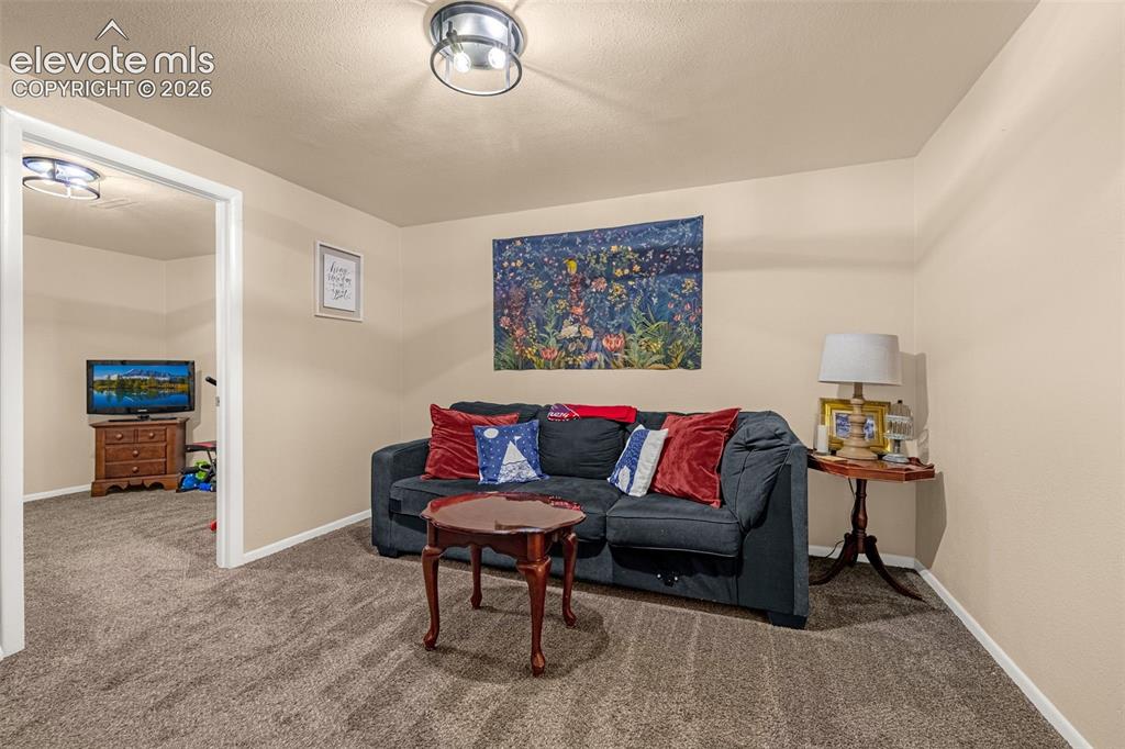 Image 11 of 27: Rustic ceiling light fixture illuminates the carpeted basement family room 