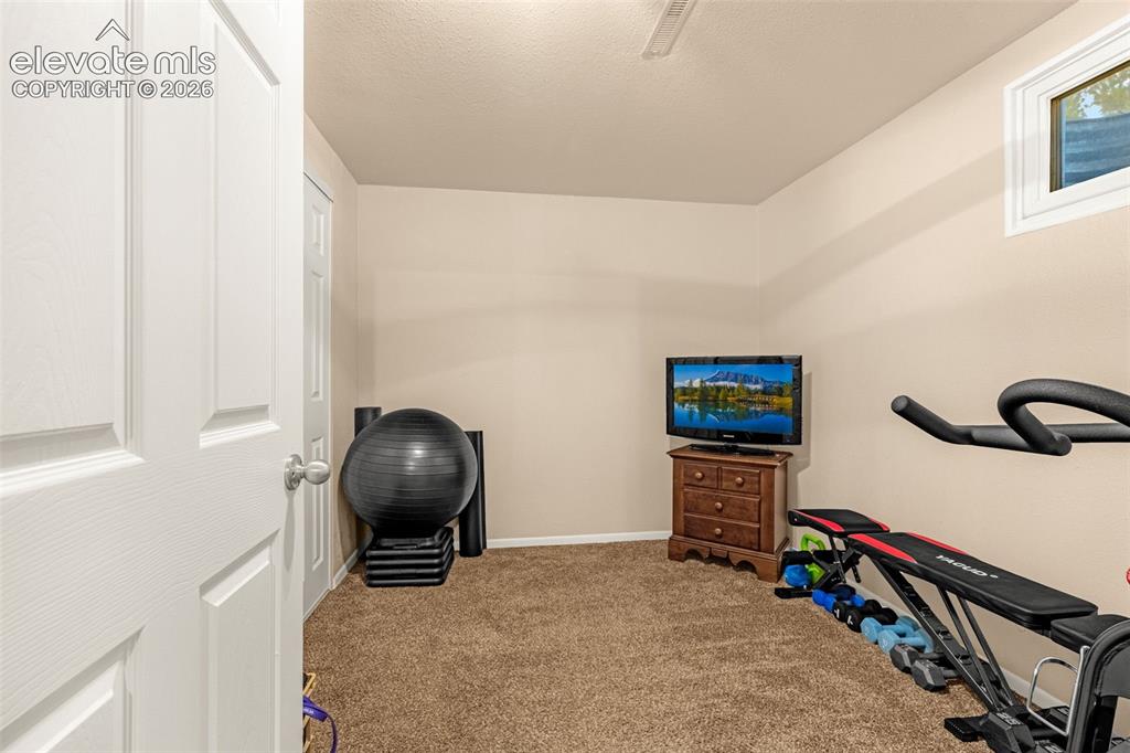 Image 17 of 27: Carpeted basement bedroom with a white framed window
