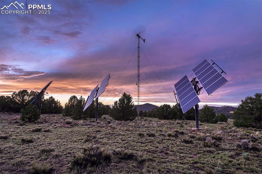 Image 11 of 49: Other