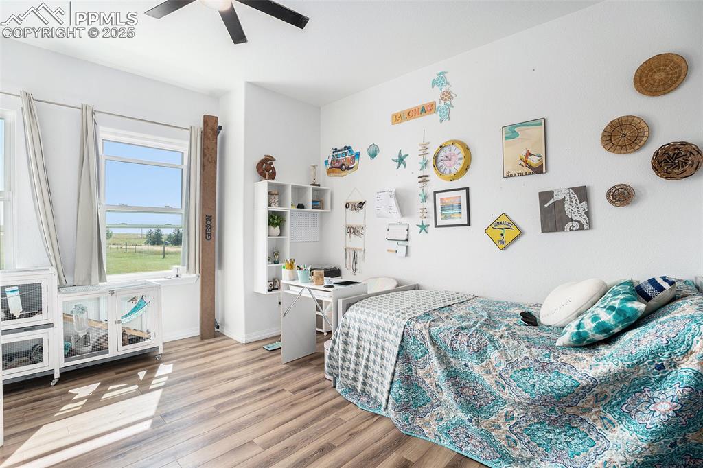 Image 15 of 24: Bedroom featuring wood finished floors and ceiling fan