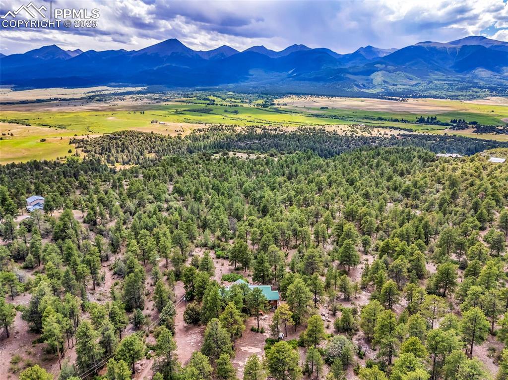 Image 41 of 43: Trees limit views of neighboring homes