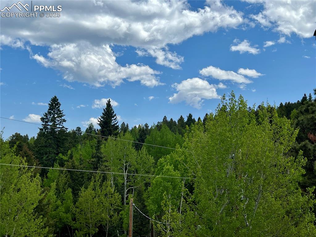 Image 50 of 50: Other