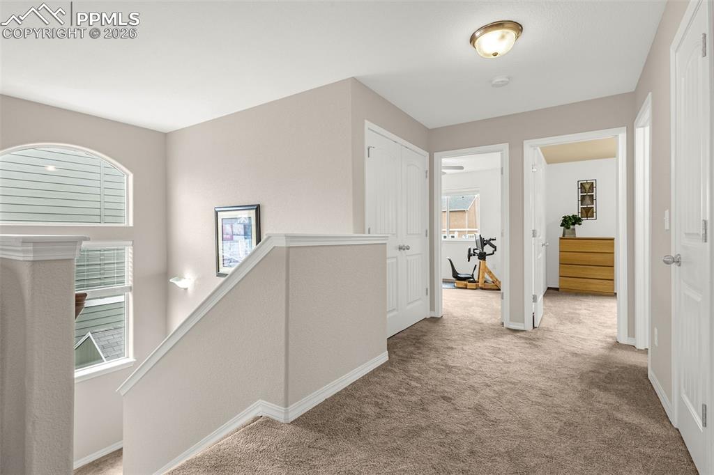 Image 15 of 48: Other