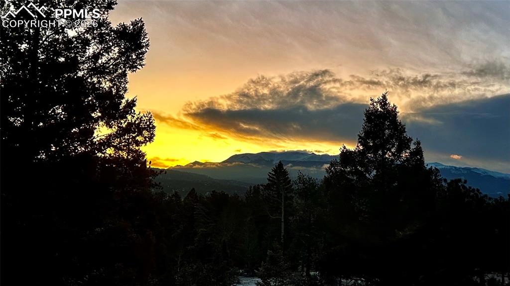 Image 30 of 40: View