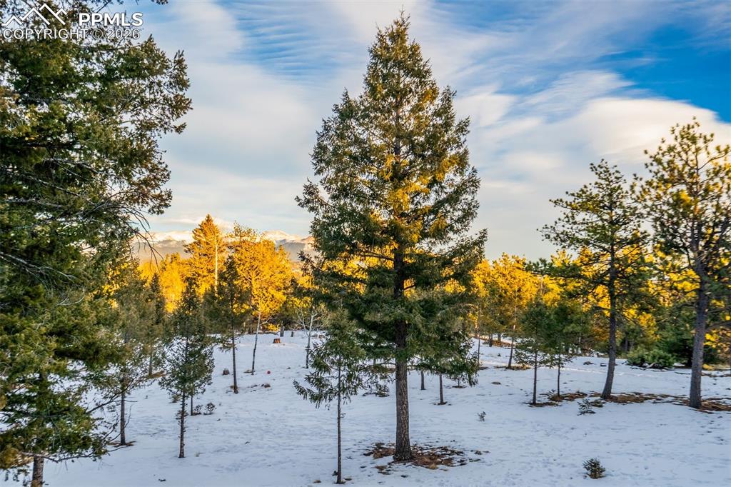 Image 31 of 40: View