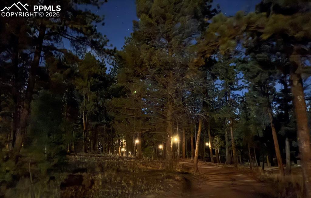 Image 33 of 40: Driveway lined with Dusk to Dawn lights!