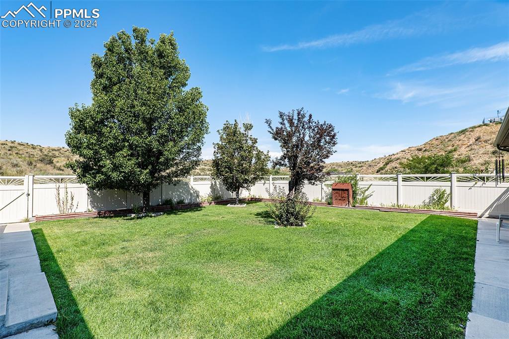 Image 40 of 50: Beautiful Backyard