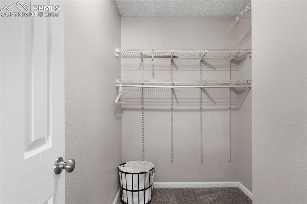 Image 17 of 38: Walk in closet featuring carpet floors