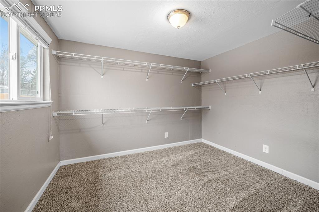 Image 16 of 33: Primary