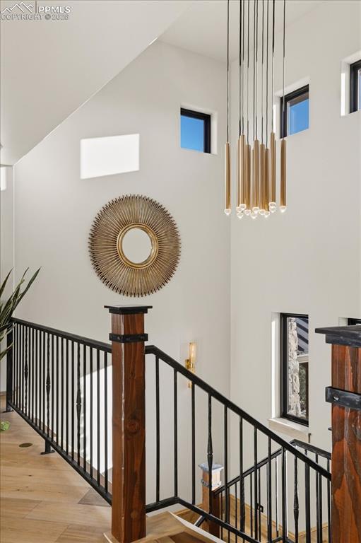 Image 43 of 50: Other