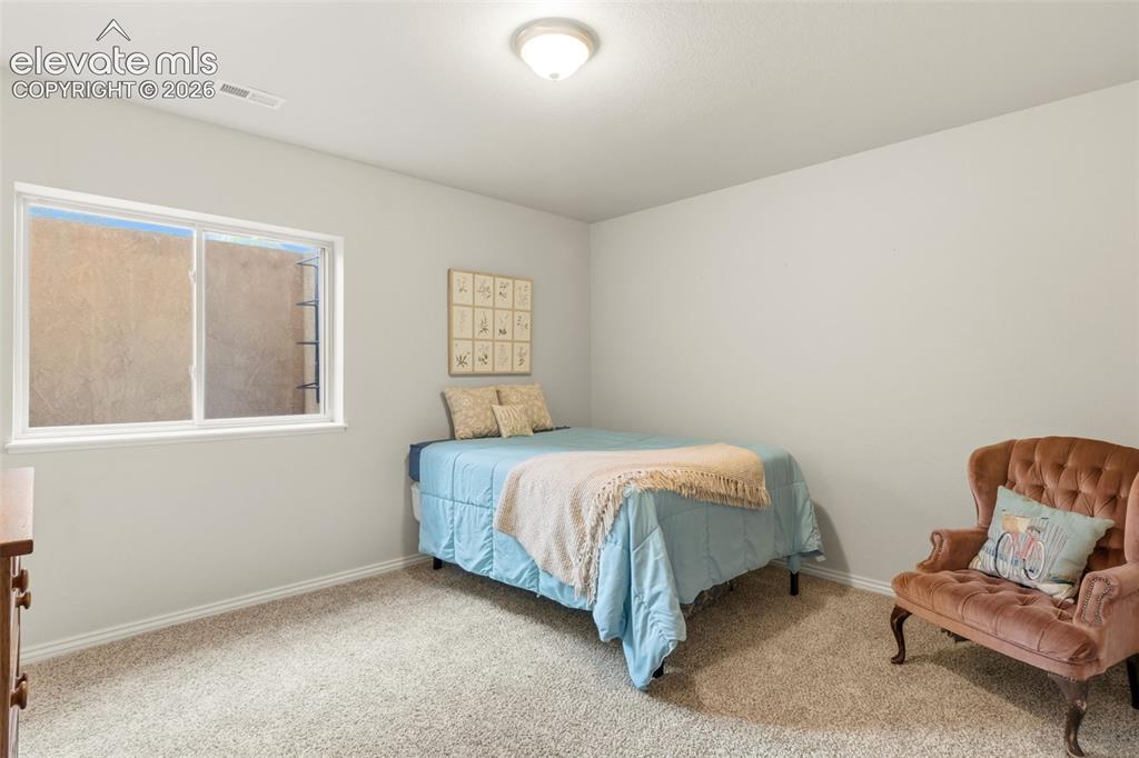 Image 38 of 47: Carpeted room featuring light gray wall paint, a white-framed window, and a