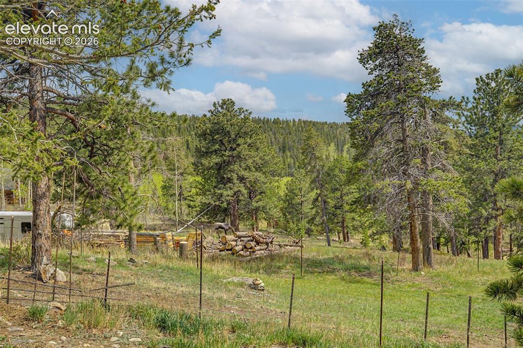 Image 39 of 45: Fresh air, blue skies, and mountain pines, oh my!