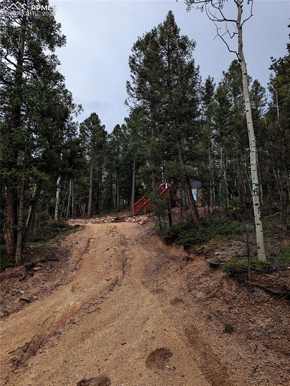Image 2 of 21: Gravel path ascending through a dense forest of evergreen and deciduous tre