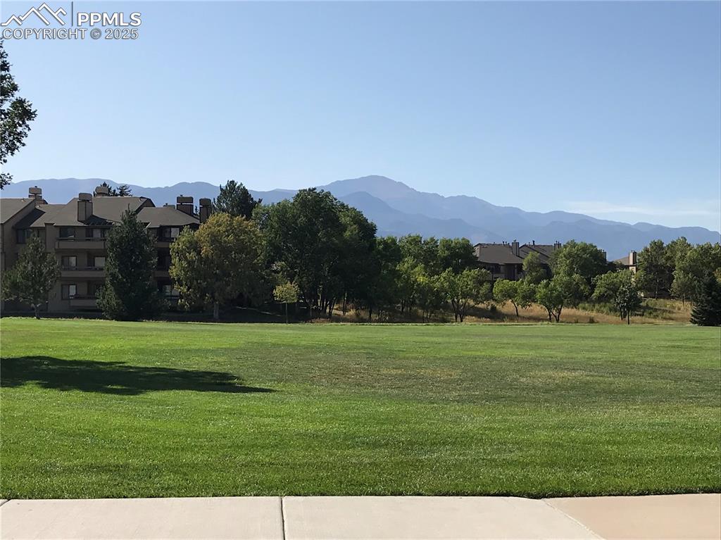 Image 22 of 25: Community