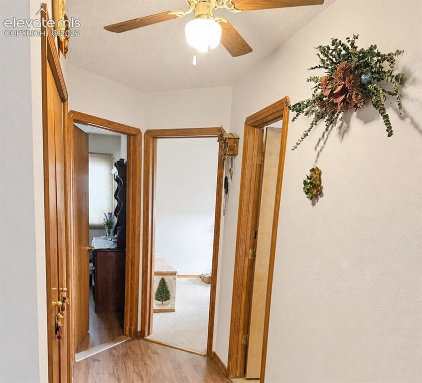 Image 10 of 20: Hallway with wood-finish flooring, white walls, and three wood-paneled door