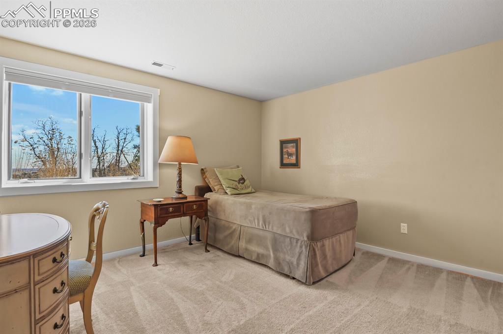 Image 40 of 50: 3rd Bedroom in the lower level, beautiful windows and light carpet.