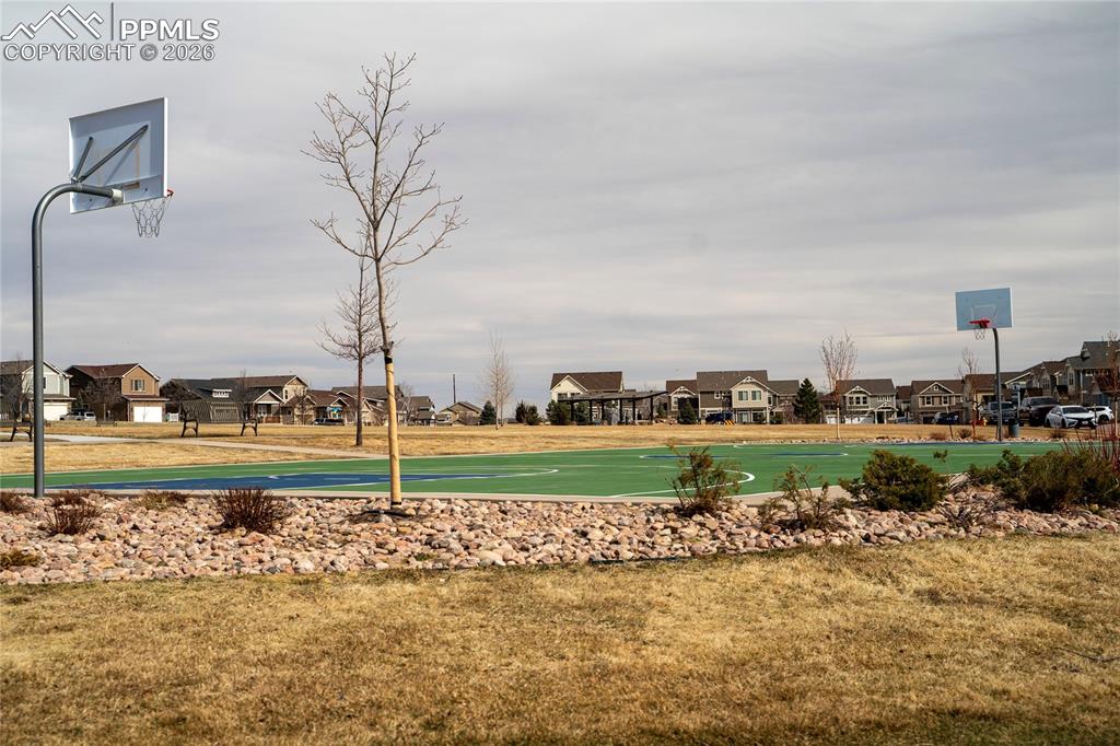 Image 34 of 37: Other