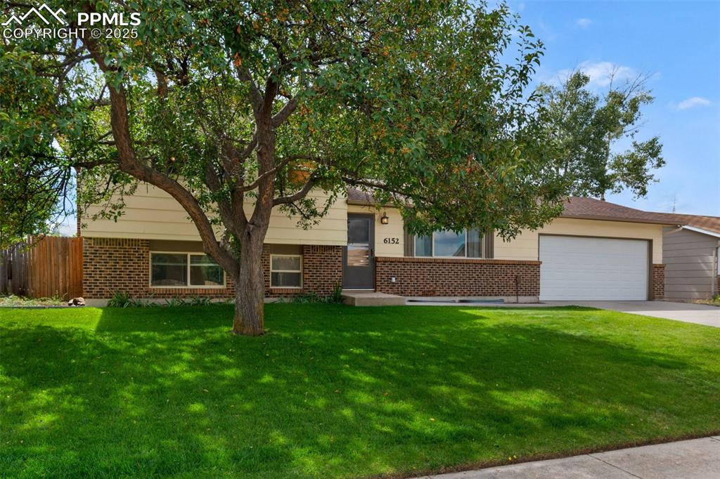 Image 33 of 49: AHHHHH....shade from the large tree.