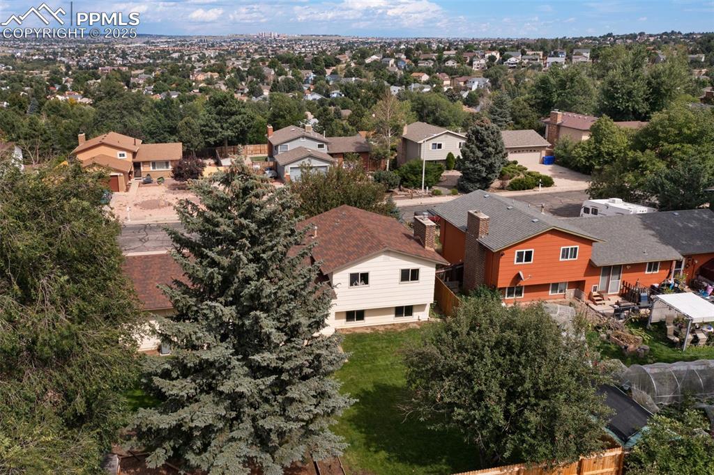 Image 39 of 49: Large trees create privacy