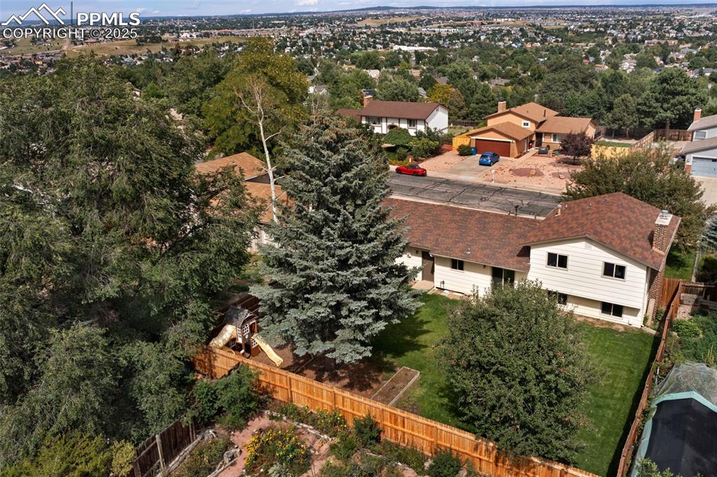 Image 41 of 49: Large back yard with towering trees