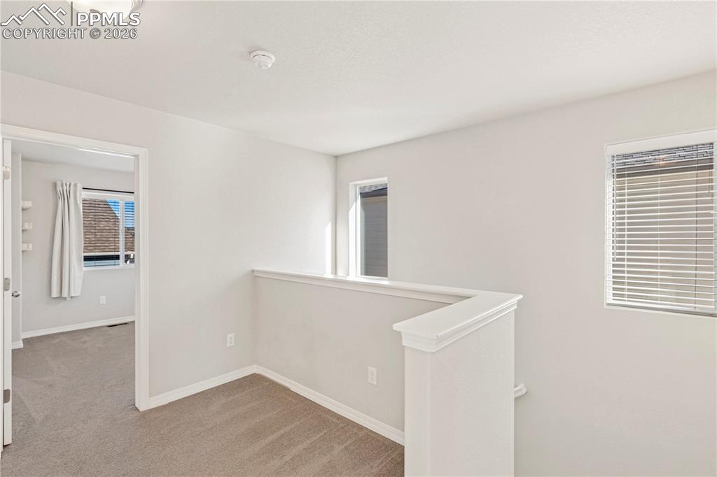 Image 16 of 42: Other