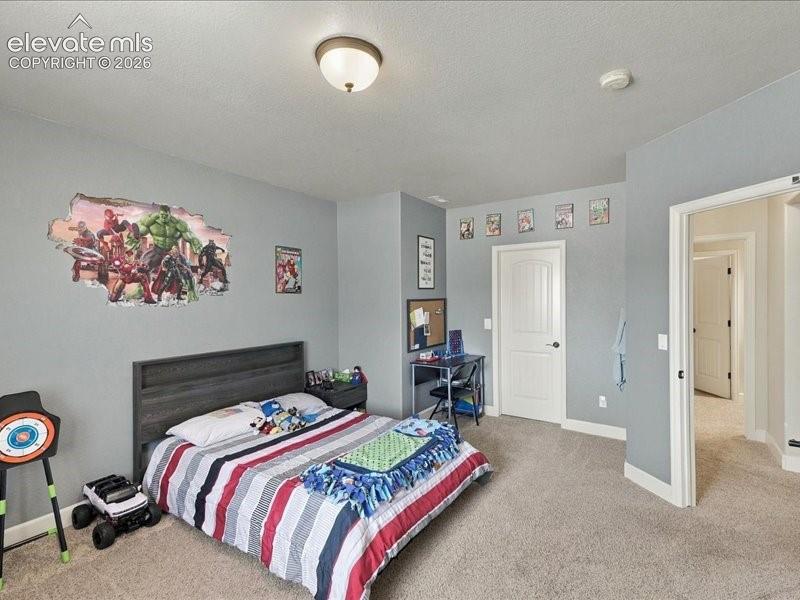 Image 48 of 50: Carpeted flooring with light gray wall paint, a white interior door, and a 