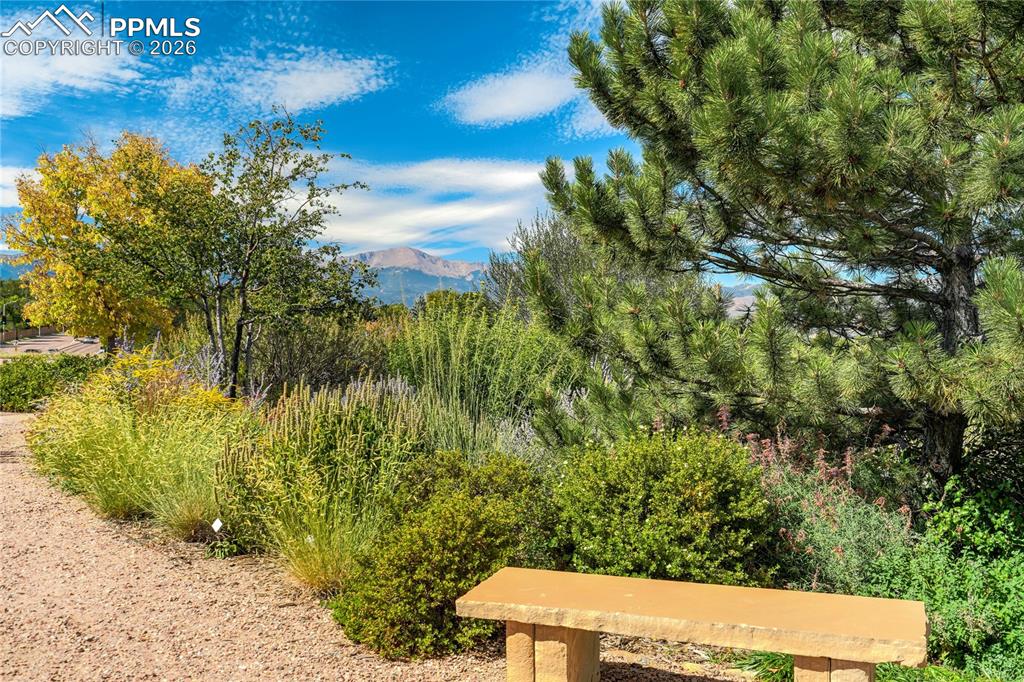 Image 44 of 48: Community