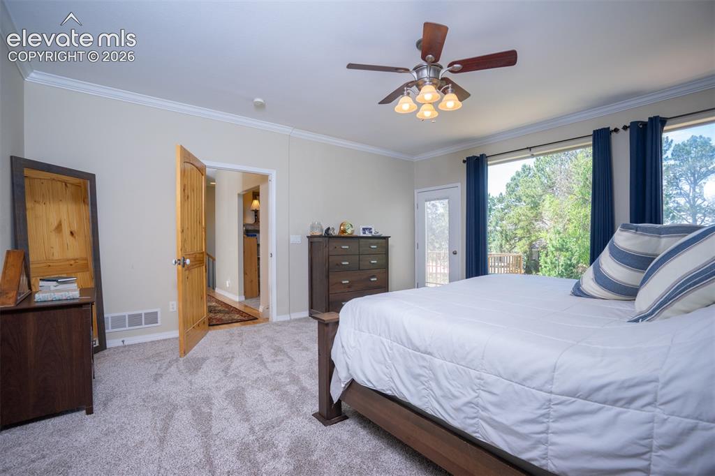 Image 16 of 50: Lots of room for even the largest of furnishings. Fresh carpet has been add