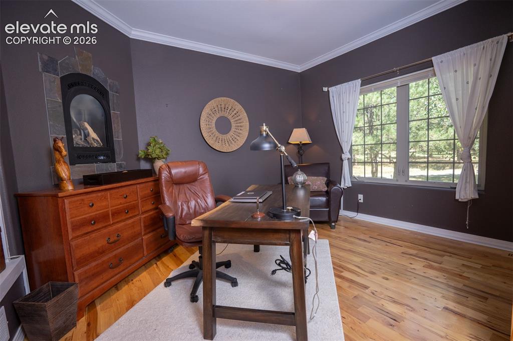 Image 22 of 50: This is the bedroom off the entry. It has a double door entrance, large wal