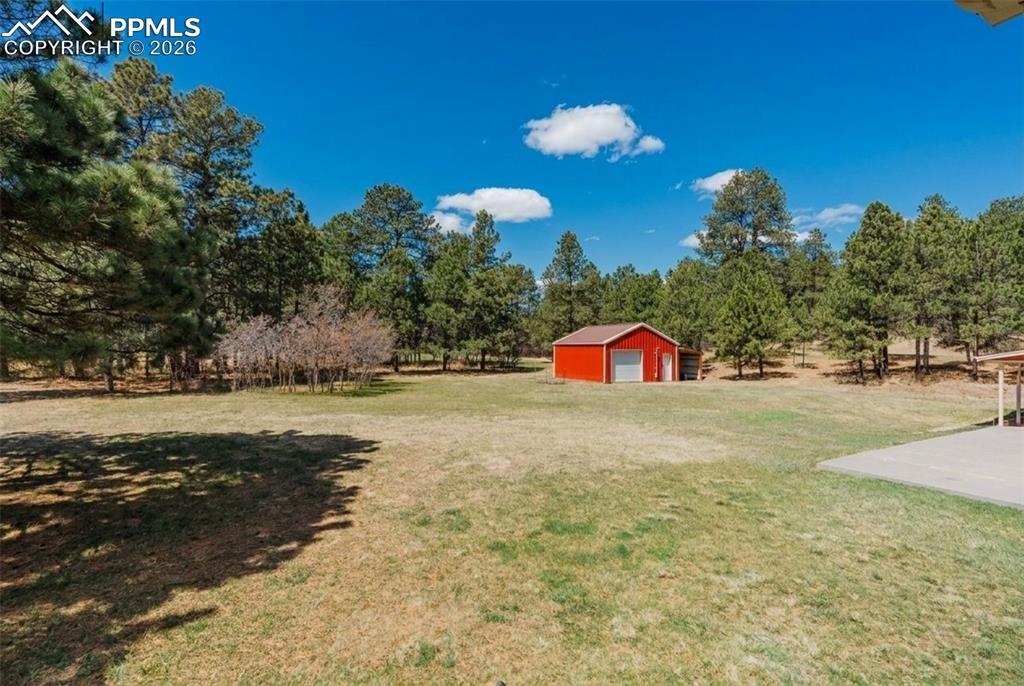 Image 11 of 42: Yard