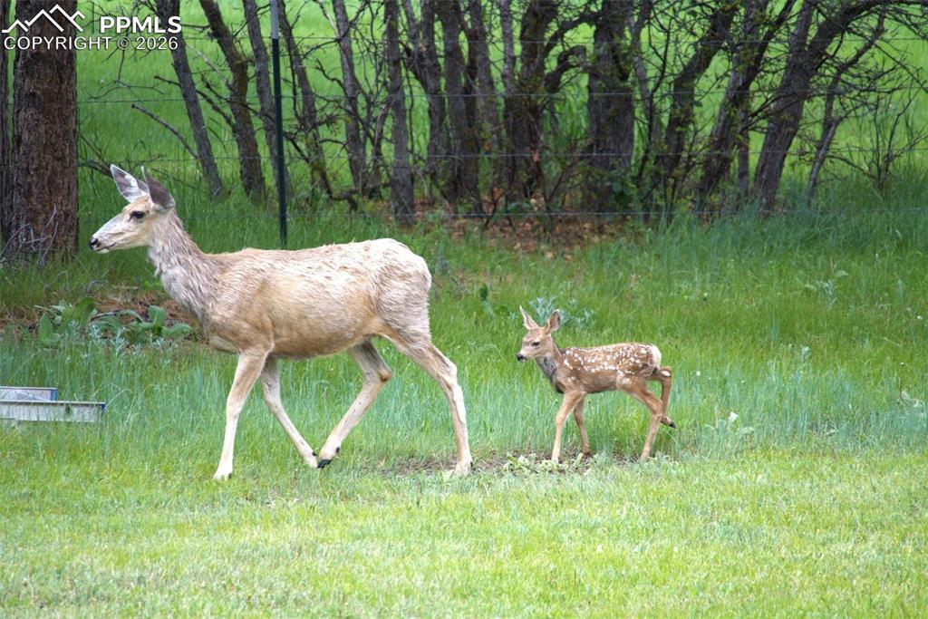 Image 35 of 42: Other