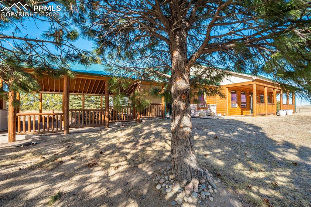 Image 41 of 49: Other