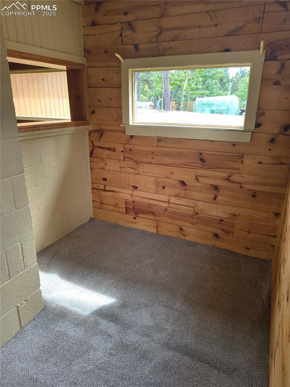 Image 25 of 27: Carpeted empty room featuring wood walls