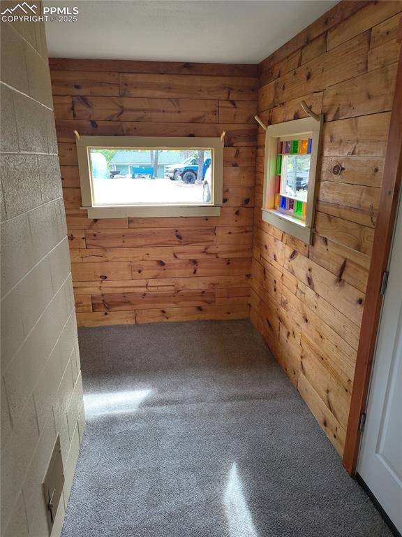Image 27 of 27: Spare room featuring wood walls and carpet