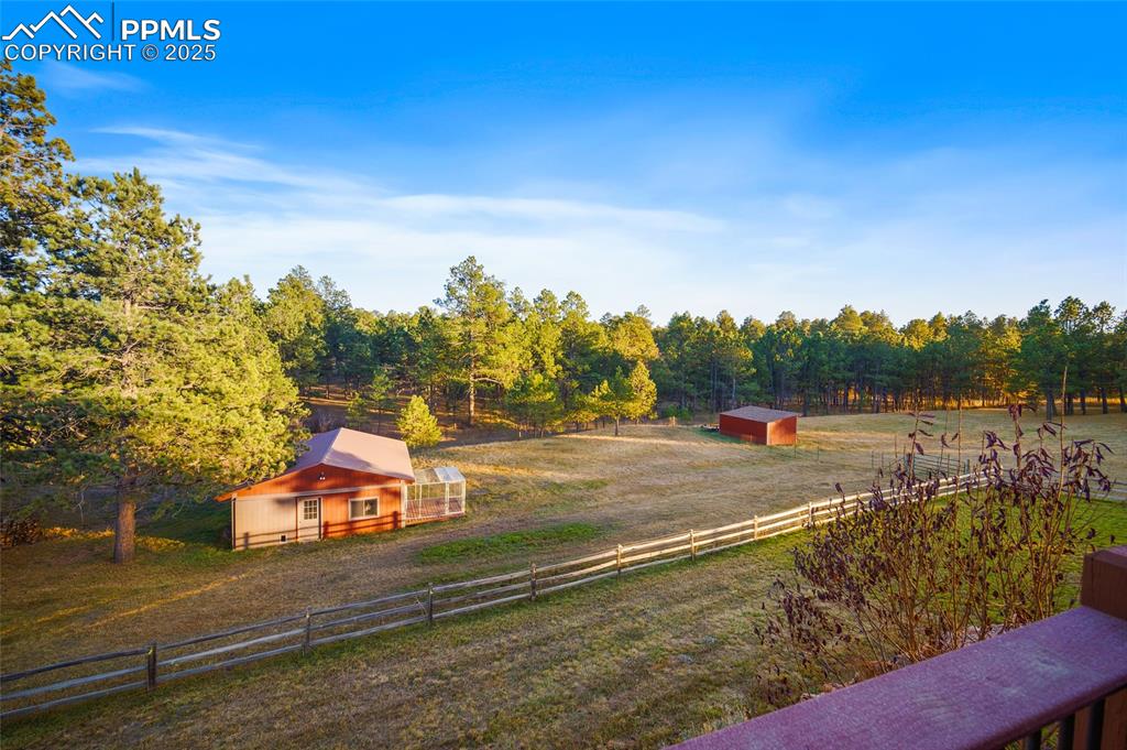 Image 39 of 49: Yard