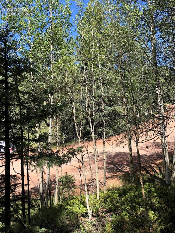 Image 2 of 5: Build your Dream Home Here! Teller County Allows you to live in RV while y